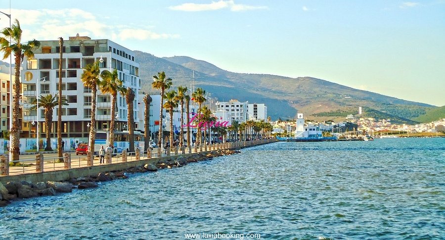 A First-Timer’s Guide to Driving in Nador: 10 Essential Tips & Road Rules